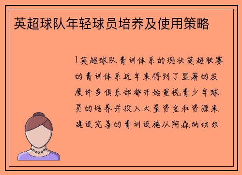 英超球队年轻球员培养及使用策略