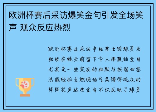 欧洲杯赛后采访爆笑金句引发全场笑声 观众反应热烈